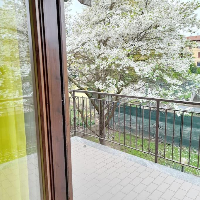 Il Vecchio Kiwi - House With Private Garden Villa Oleggio Castello Eksteriør billede