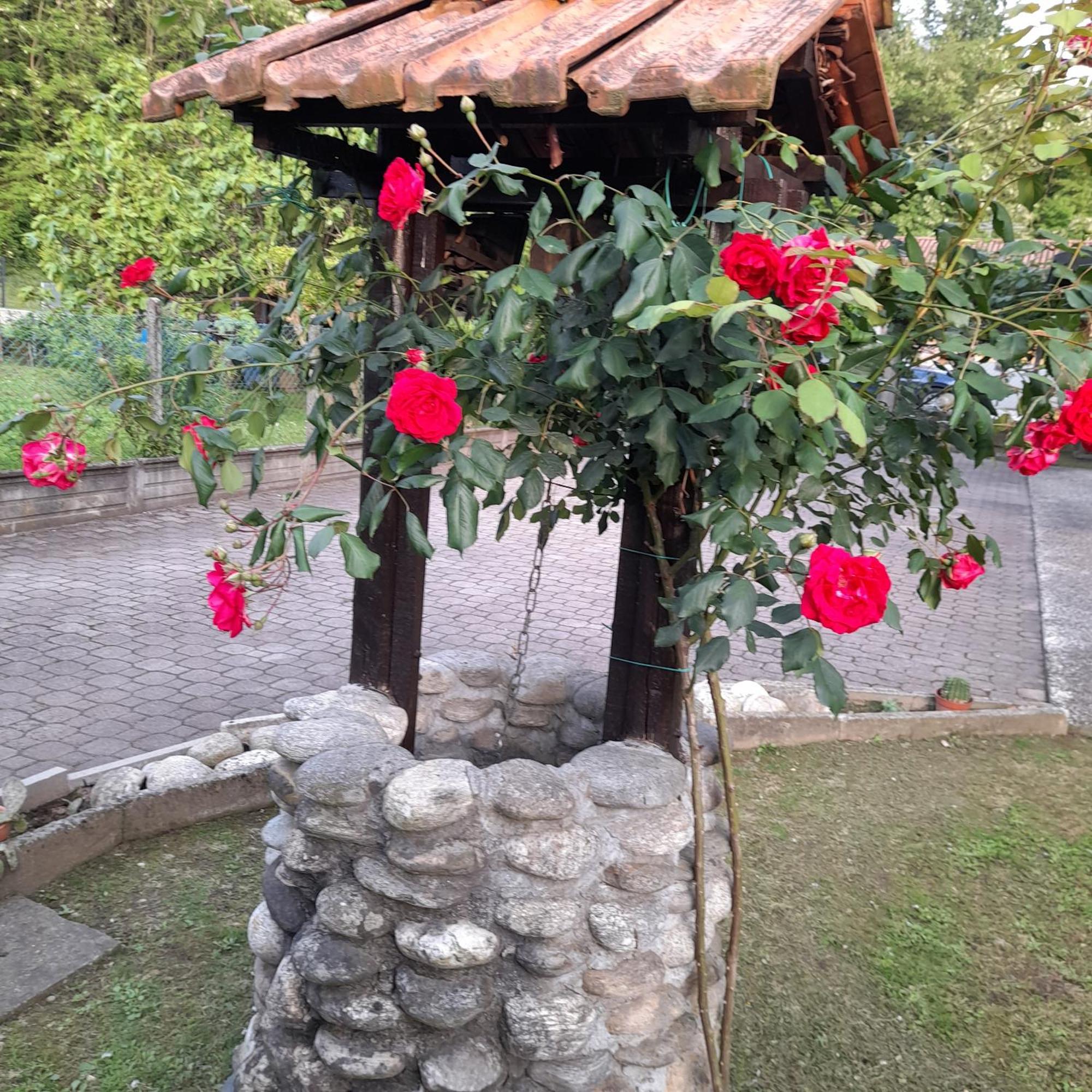 Il Vecchio Kiwi - House With Private Garden Villa Oleggio Castello Eksteriør billede